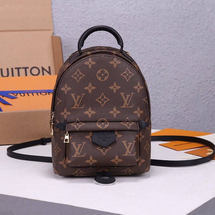 LV Palm Springs Mini Backpack