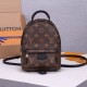 LV Palm Springs Mini Backpack