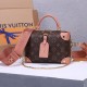 LV Petite Malle Souple Handbag