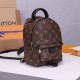 LV Palm Springs Mini Backpack