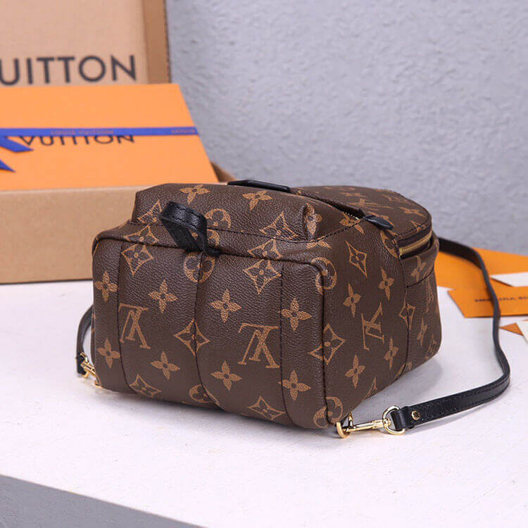 LV Palm Springs Mini Backpack