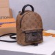 LV Palm Springs Mini Backpack