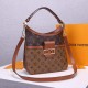 LV Hobo Dauphine PM Handbag