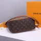 LV Hobo Dauphine PM Handbag