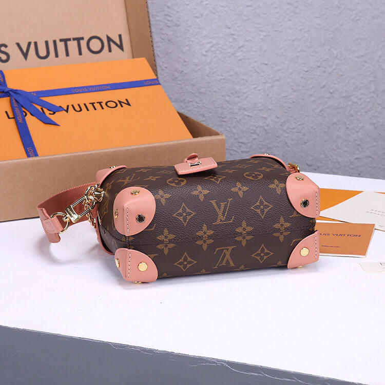 LV Petite Malle Souple Handbag