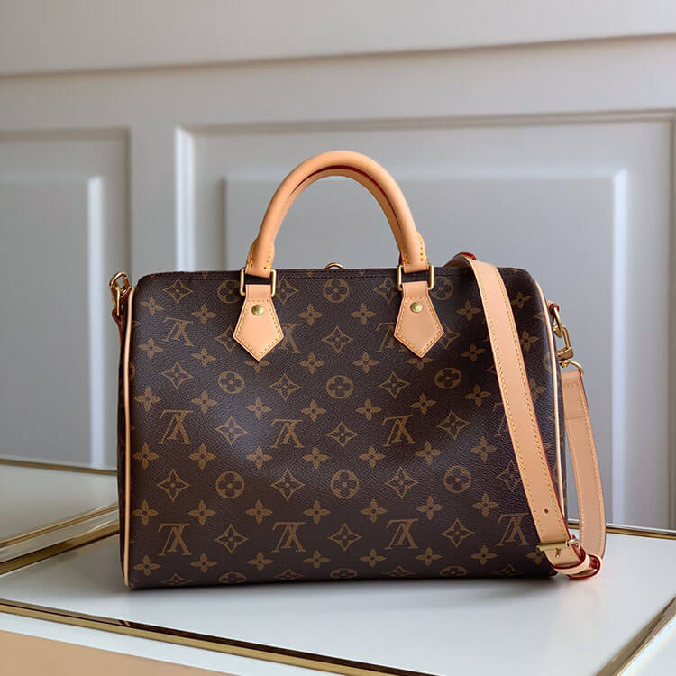 LV Speedy Bandouliere 30 Handbag