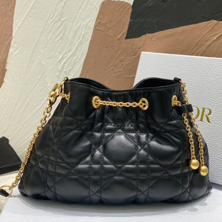 MEDIUM DIOR AMMI BAG