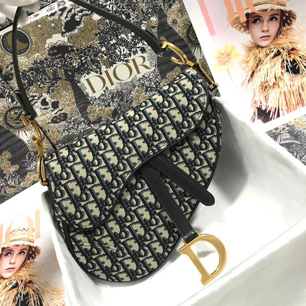 Dior SADDLE BAG