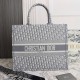 LARGE DIOR BOOK TOTE