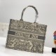 SMALL DIOR BOOK TOTE