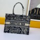 SMALL DIORAMOUR DIOR BOOK TOTE