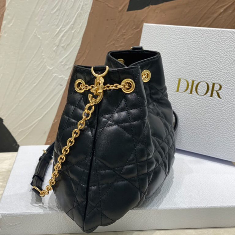 MEDIUM DIOR AMMI BAG