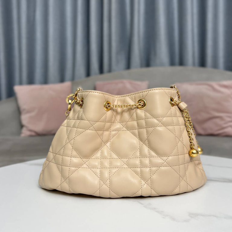 MEDIUM DIOR AMMI BAG