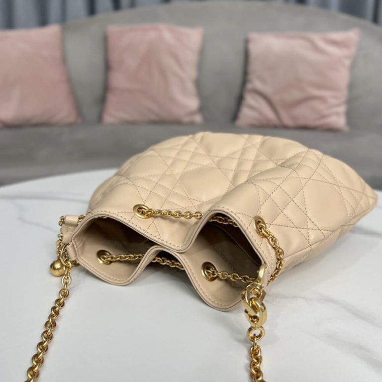 MEDIUM DIOR AMMI BAG