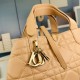 SMALL DIOR TOUJOURS BAG