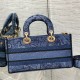 MEDIUM LADY D-JOY BAG