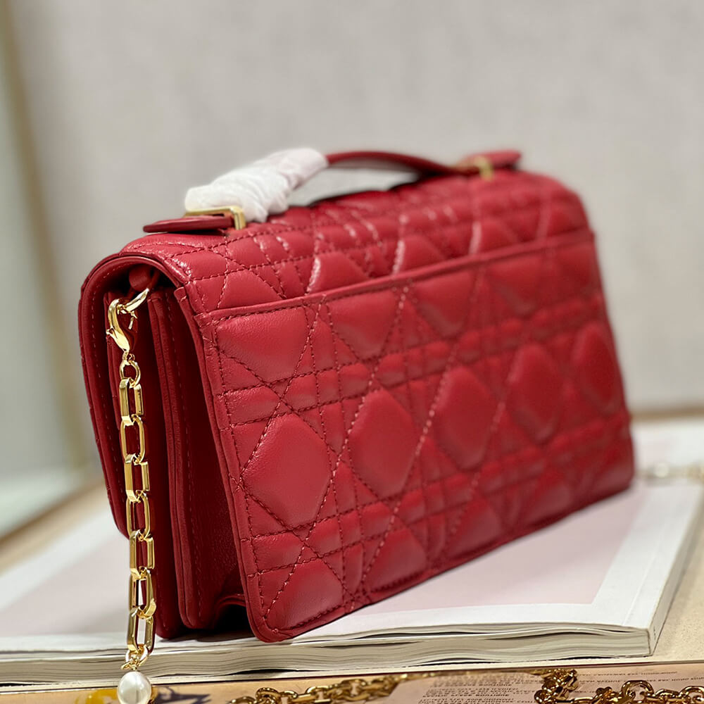 MISS DIOR MINI BAG