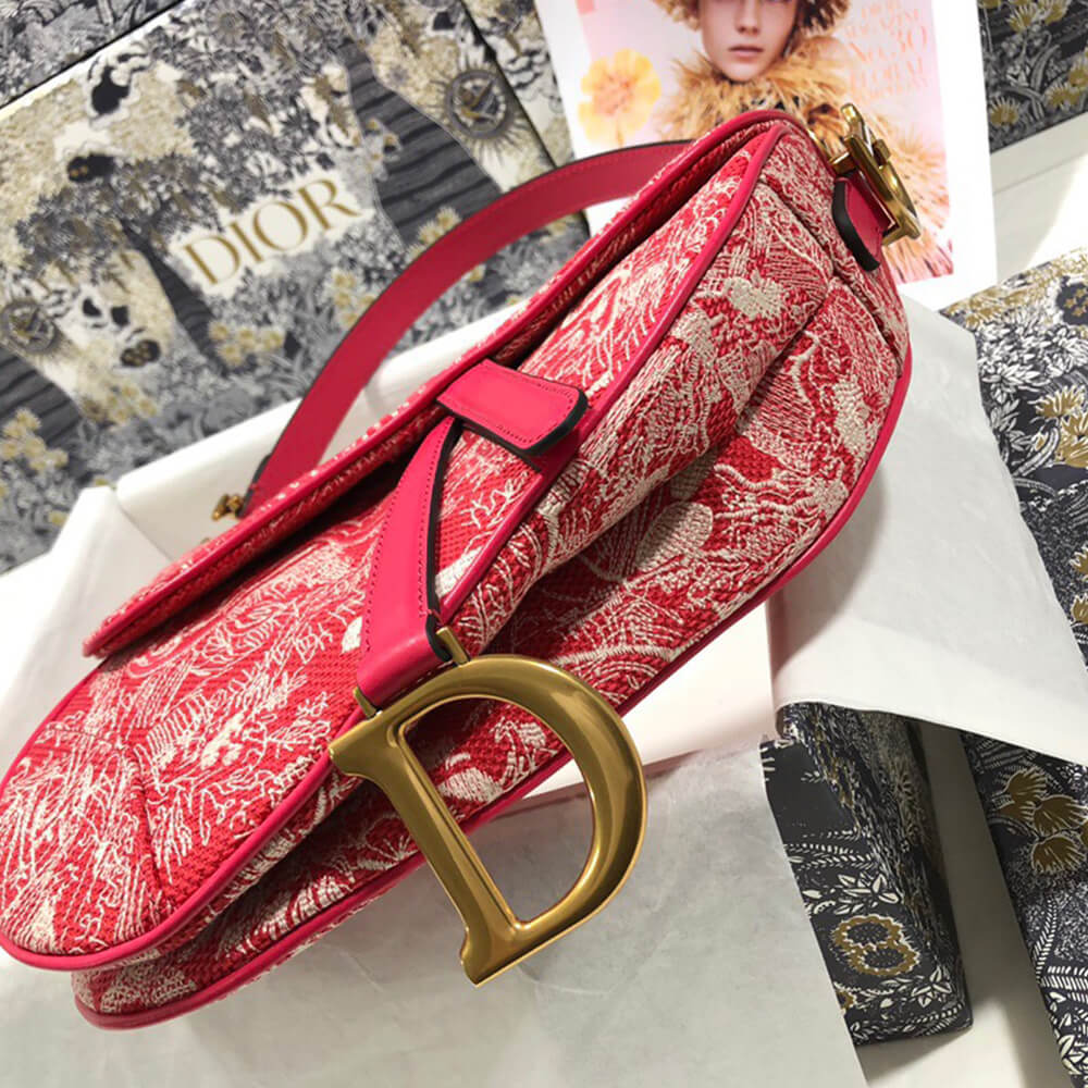 Dior SADDLE BAG