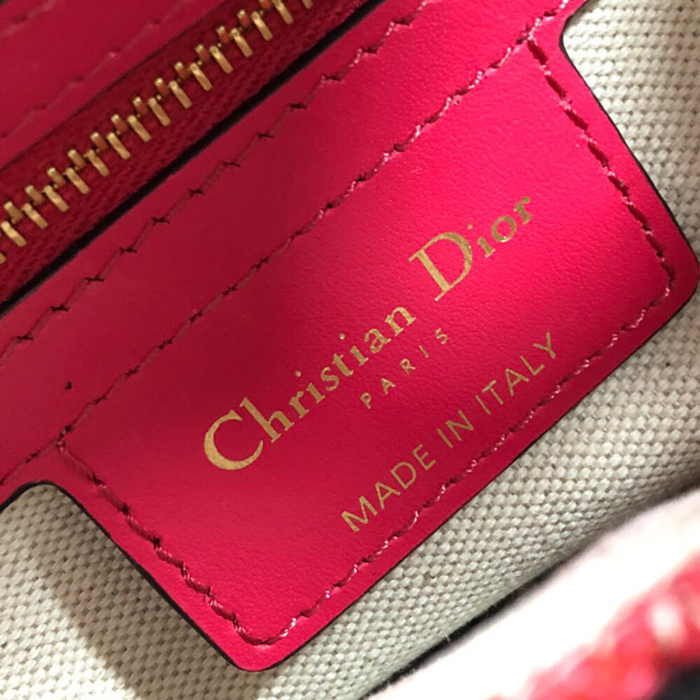 Dior SADDLE BAG