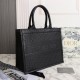 Medium DIOR BOOK TOTE