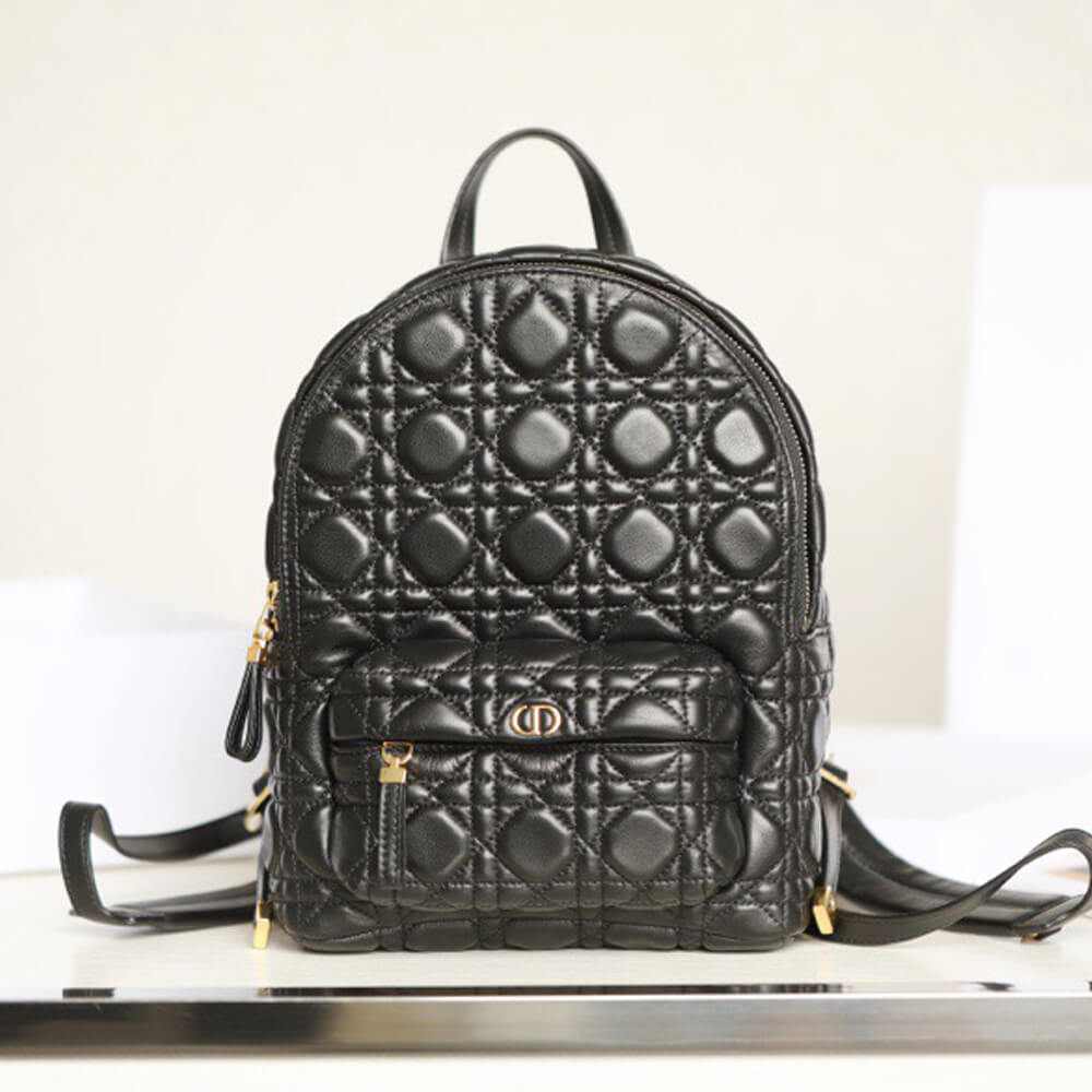 SMALL DIOR BACKPACK